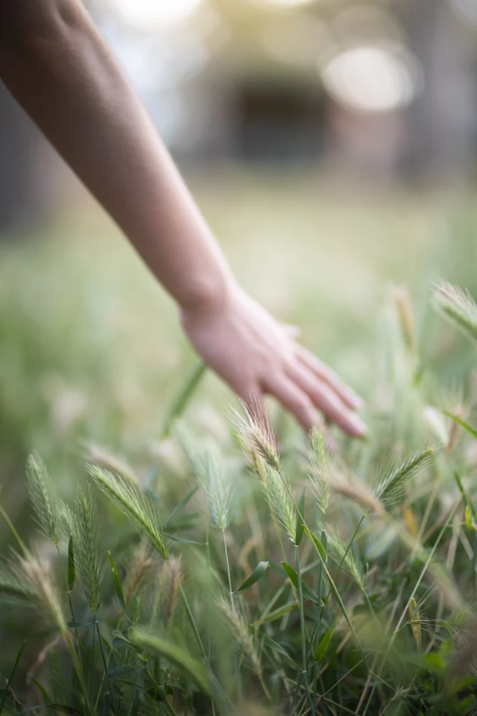 Adelaide portrait photo abstract golden hour