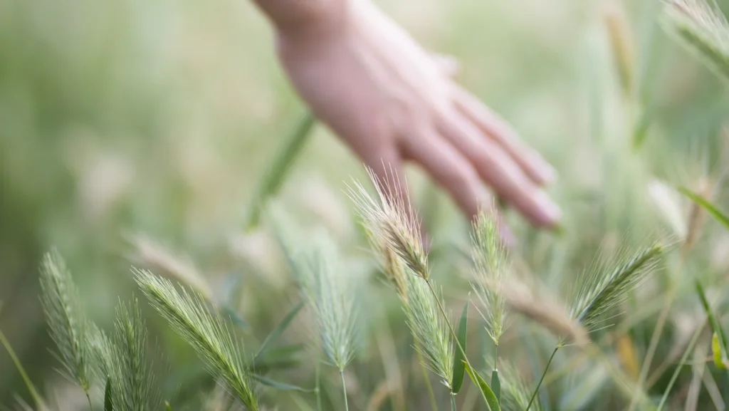 Connect with family abroad with family photos