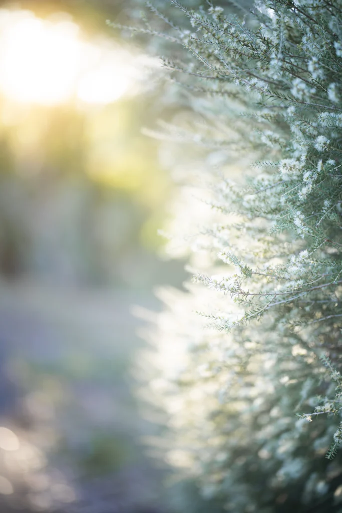 Sunrise family photo sessions