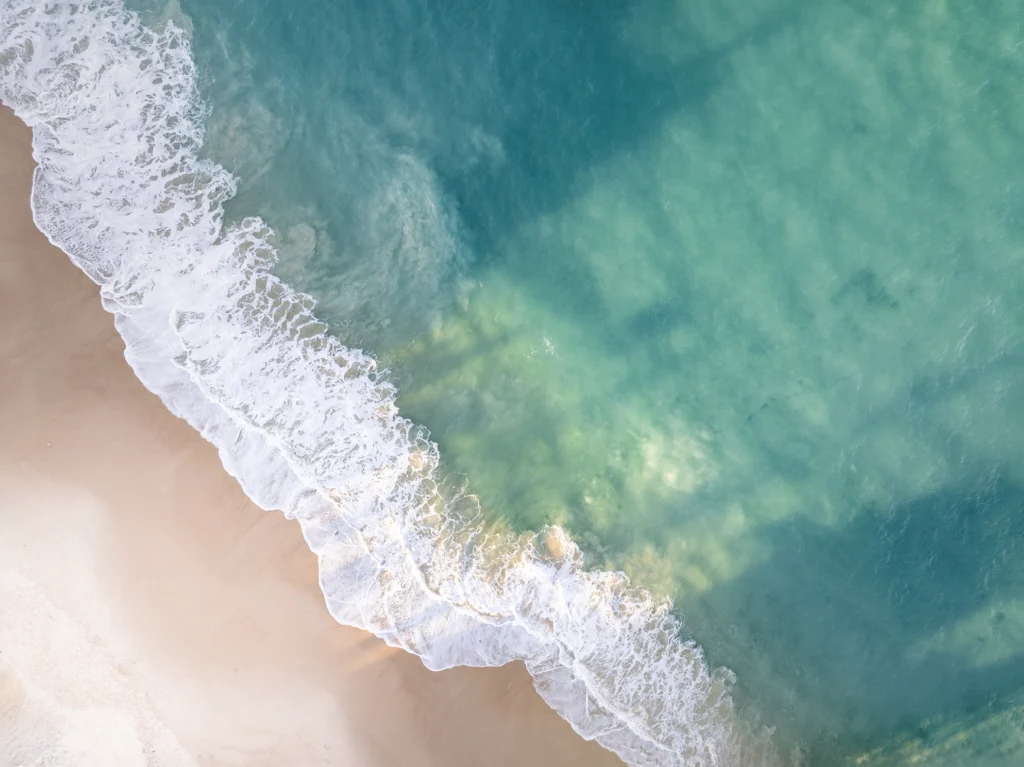 Beach family and couples photos