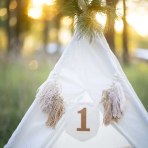 First Birthday Golden Hour Cake Smash