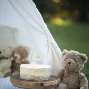 First Birthday Golden Hour Cake Smash - Image 10